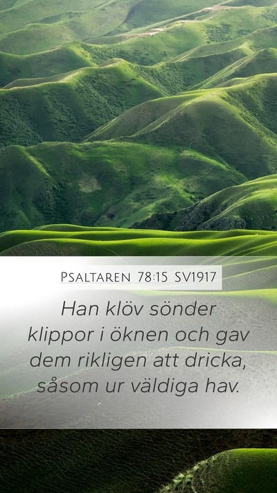 Psaltaren 78:15 SV1917 Bible Verse Image