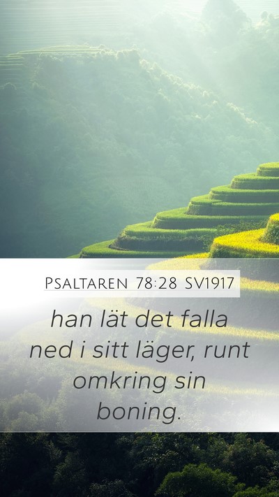 Psaltaren 78:28 SV1917 Mobile Phone Wallpaper - han lät det falla ned i sitt läger, runt - Mobile Bible Verse Wallpaper