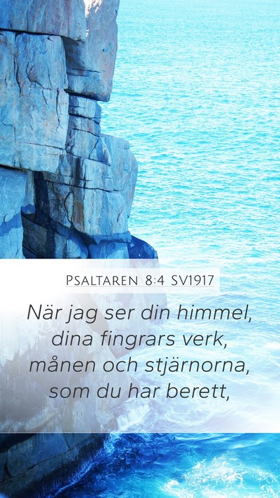 Psaltaren 8:4 SV1917 Bible Verse Image