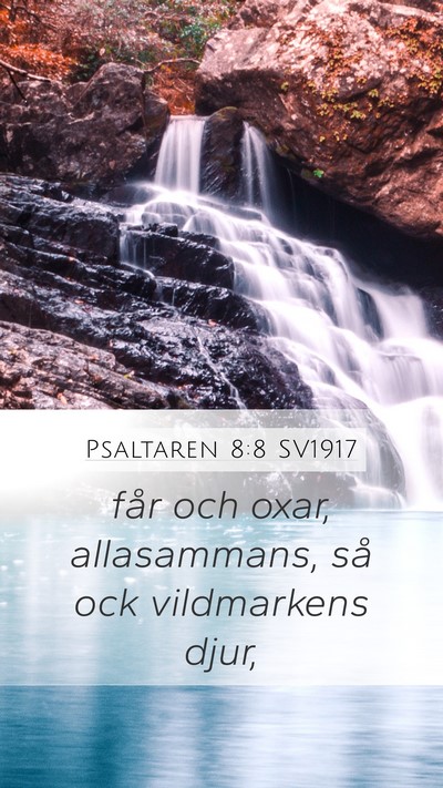 Psaltaren 8:8 SV1917 Bible Verse Image