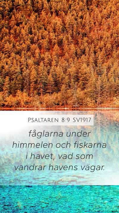 Psaltaren 8:9 SV1917 Bible Verse Image