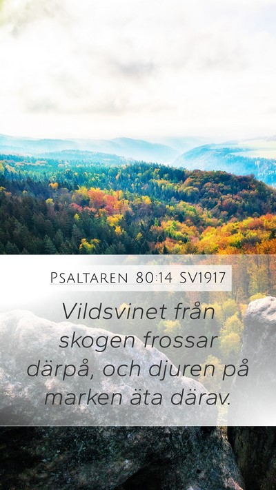 Psaltaren 80:14 SV1917 Mobile Phone Wallpaper - Vildsvinet från skogen frossar därpå, och - Mobile Bible Verse Wallpaper