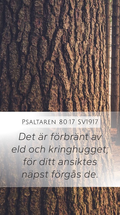 Psaltaren 80:17 SV1917 Bible Verse Image