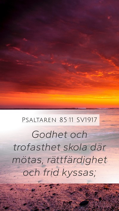 Psaltaren 85:11 SV1917 Mobile Phone Wallpaper - Godhet och trofasthet skola där mötas, - Mobile Bible Verse Wallpaper