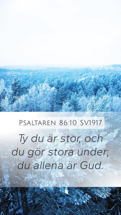 Psaltaren 86:10 SV1917 Bible Verse Image