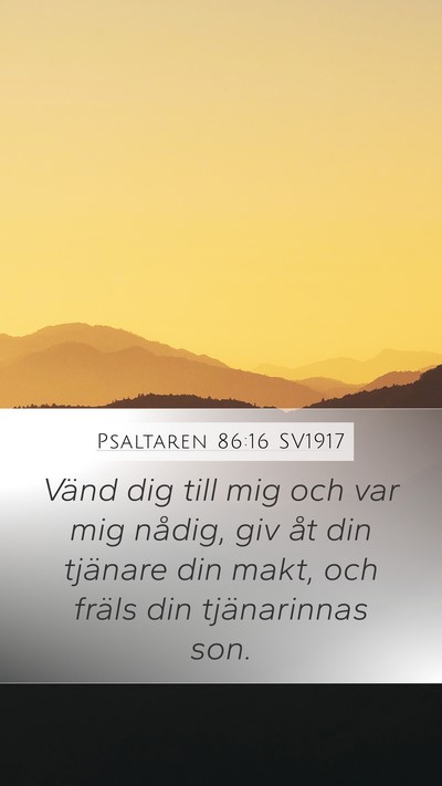 Psaltaren 86:16 SV1917 Bible Verse Image