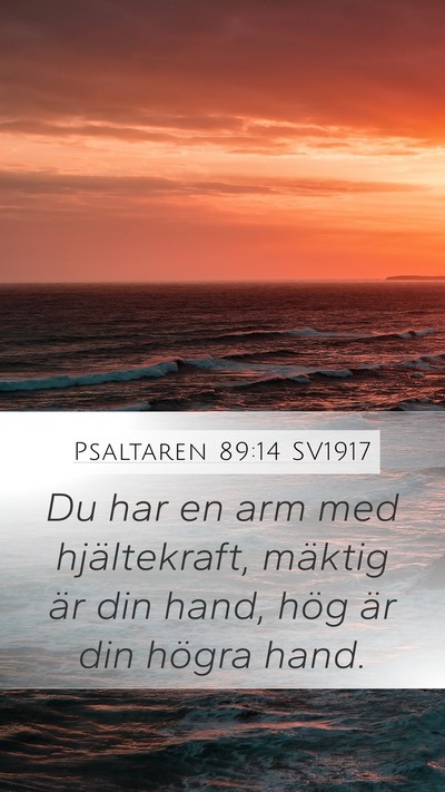 Psaltaren 89:14 SV1917 Bible Verse Image