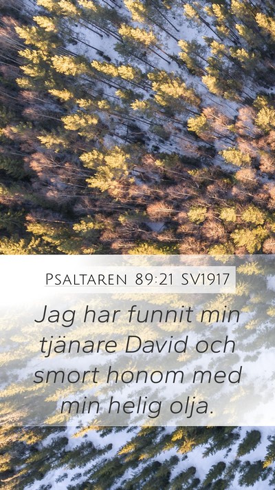 Psaltaren 89:21 SV1917 Bible Verse Image