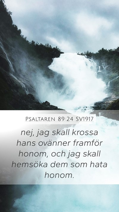 Psaltaren 89:24 SV1917 Bible Verse Image
