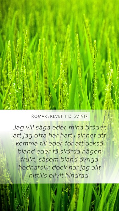 Romarbrevet 1:13 SV1917 Bible Verse Image