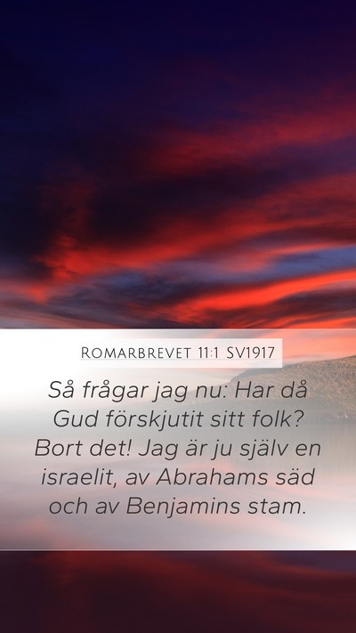 Romarbrevet 11:1 SV1917 Bible Verse Image
