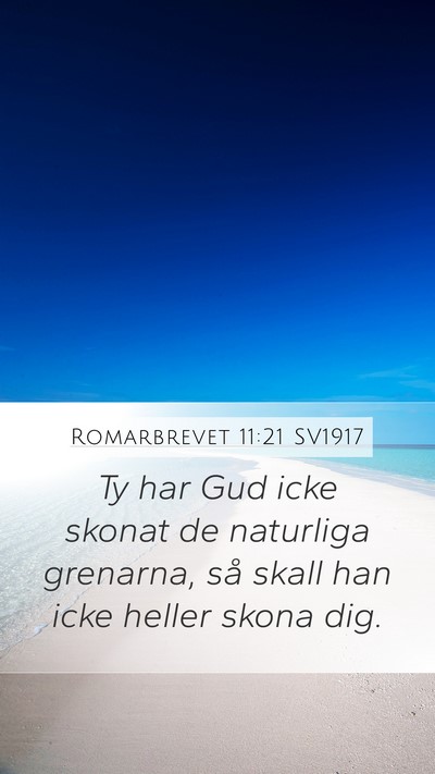 Romarbrevet 11:21 SV1917 Mobile Phone Wallpaper - Ty har Gud icke skonat de naturliga grenarna, så - Mobile Bible Verse Wallpaper
