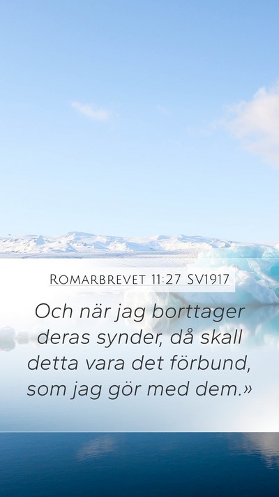 Romarbrevet 11:27 SV1917 Bible Verse Image
