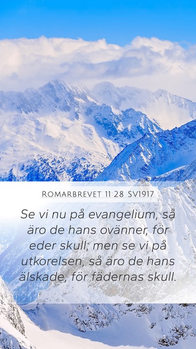 Romarbrevet 11:28 SV1917 Bible Verse Image