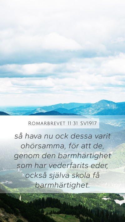 Romarbrevet 11:31 SV1917 Bible Verse Image