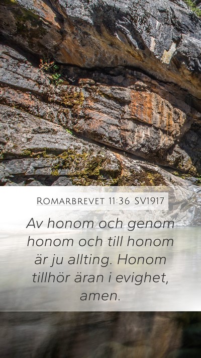 Romarbrevet 11:36 SV1917 Bible Verse Image