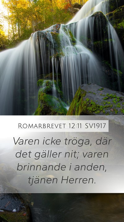 Romarbrevet 12:11 SV1917 Bible Verse Image
