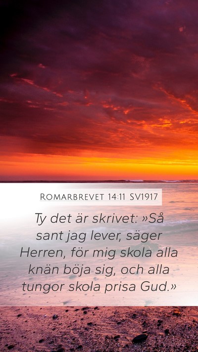 Romarbrevet 14:11 SV1917 Bible Verse Image