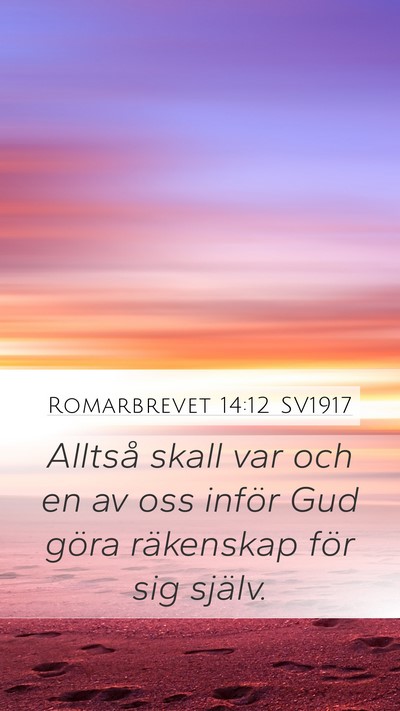Romarbrevet 14:12 SV1917 Bible Verse Image