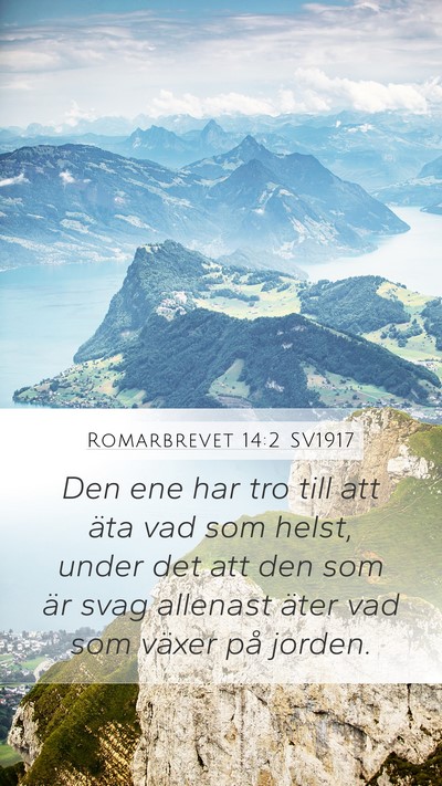 Romarbrevet 14:2 SV1917 Bible Verse Image