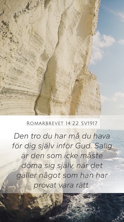 Romarbrevet 14:22 SV1917 Bible Verse Image