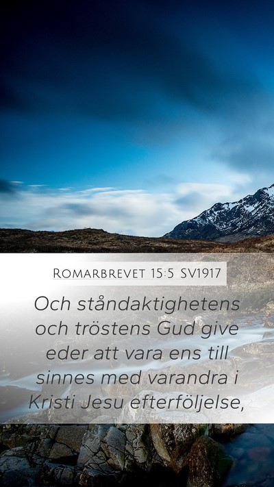Romarbrevet 15:5 SV1917 Bible Verse Image