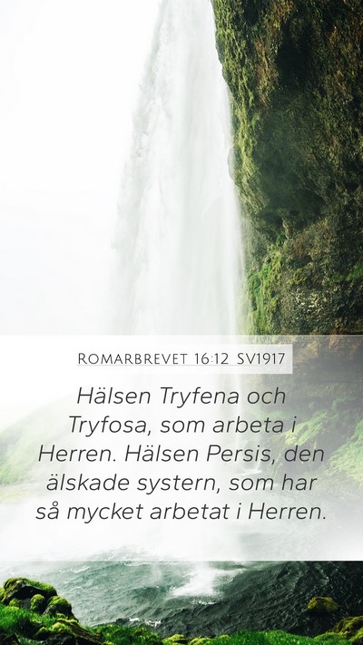 Romarbrevet 16:12 SV1917 Bible Verse Image