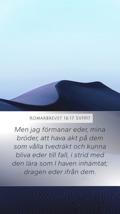 Romarbrevet 16:17 SV1917 Bible Verse Image