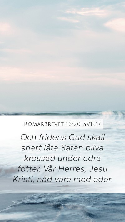 Romarbrevet 16:20 SV1917 Bible Verse Image