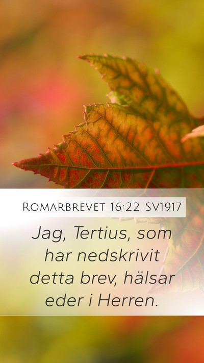 Romarbrevet 16:22 SV1917 Mobile Phone Wallpaper - Jag, Tertius, som har nedskrivit detta brev, - Mobile Bible Verse Wallpaper