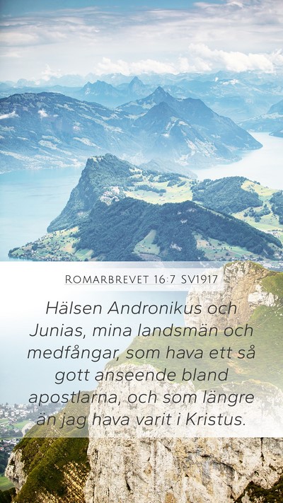 Romarbrevet 16:7 SV1917 Bible Verse Image
