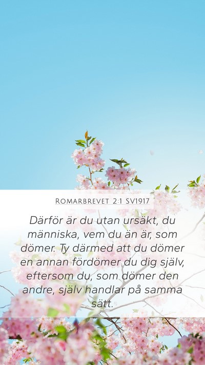 Romarbrevet 2:1 SV1917 Bible Verse Image