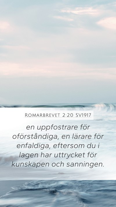 Romarbrevet 2:20 SV1917 Bible Verse Image