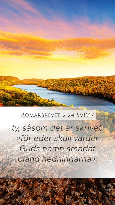 Romarbrevet 2:24 SV1917 Bible Verse Image
