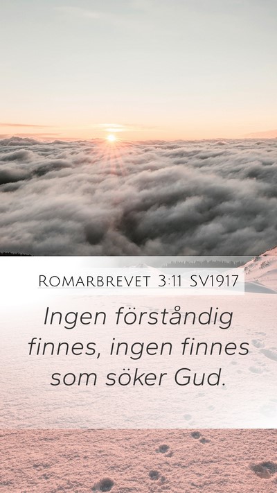 Romarbrevet 3:11 SV1917 Bible Verse Image