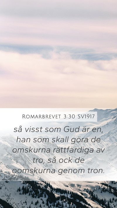 Romarbrevet 3:30 SV1917 Bible Verse Image