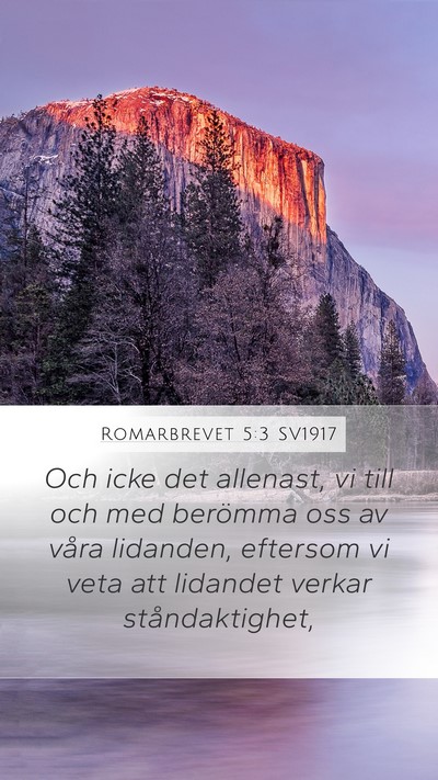 Romarbrevet 5:3 SV1917 Bible Verse Image