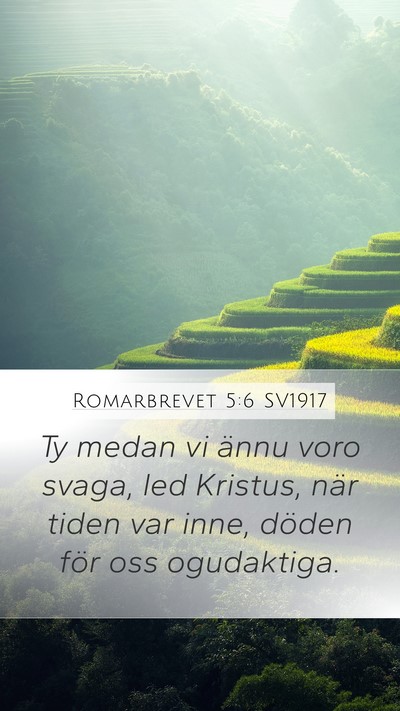Romarbrevet 5:6 SV1917 Mobile Phone Wallpaper - Ty medan vi ännu voro svaga, led Kristus, när - Mobile Bible Verse Wallpaper