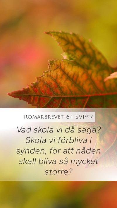 Romarbrevet 6:1 SV1917 Bible Verse Image