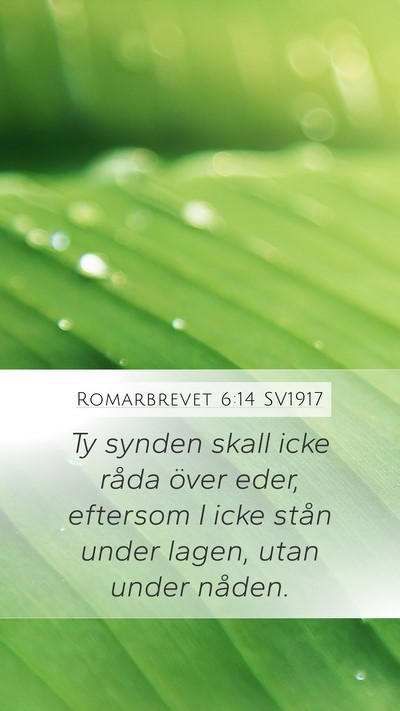 Romarbrevet 6:14 SV1917 Bible Verse Image