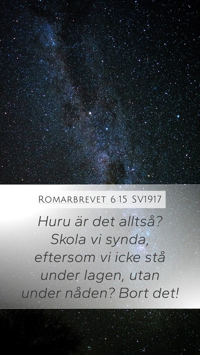 Romarbrevet 6:15 SV1917 Bible Verse Image