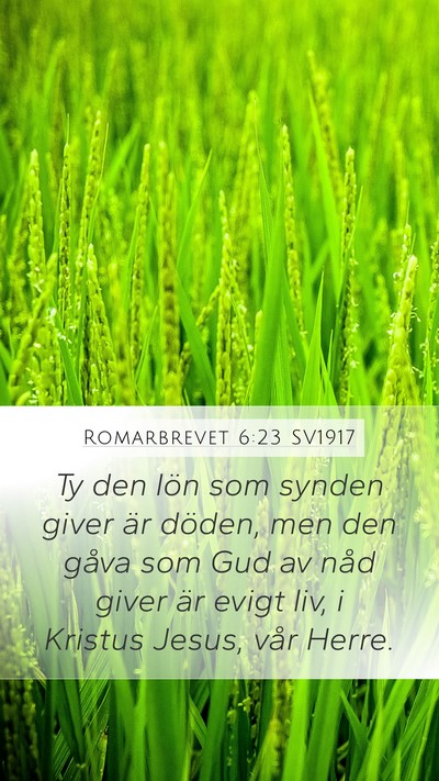 Romarbrevet 6:23 SV1917 Bible Verse Image
