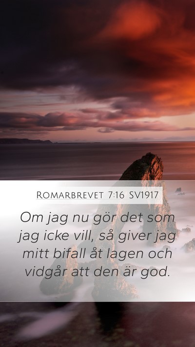 Romarbrevet 7:16 SV1917 Bible Verse Image