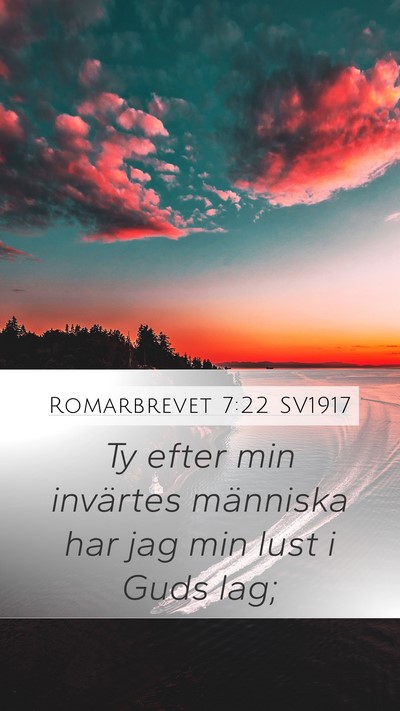Romarbrevet 7:22 SV1917 Bible Verse Image