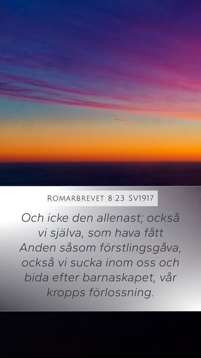 Romarbrevet 8:23 SV1917 Bible Verse Image