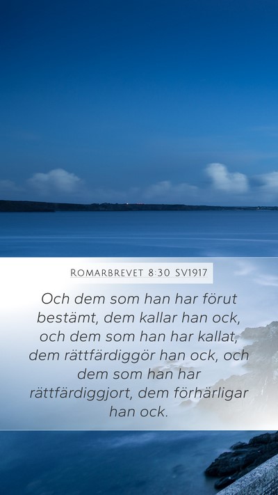 Romarbrevet 8:30 SV1917 Bible Verse Image