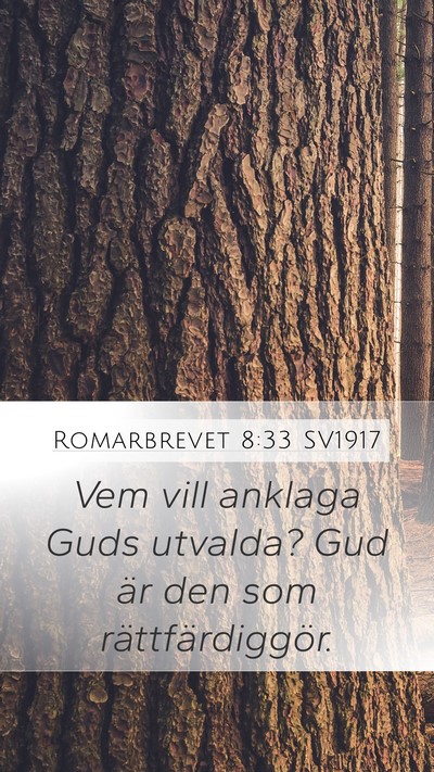 Romarbrevet 8:33 SV1917 Bible Verse Image