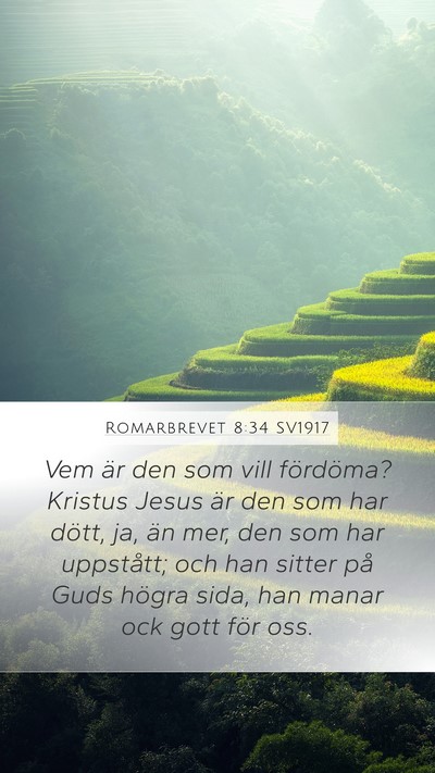 Romarbrevet 8:34 SV1917 Bible Verse Image