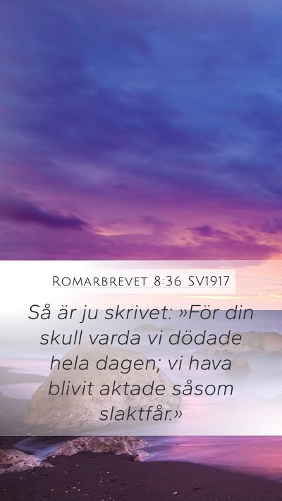 Romarbrevet 8:36 SV1917 Bible Verse Image