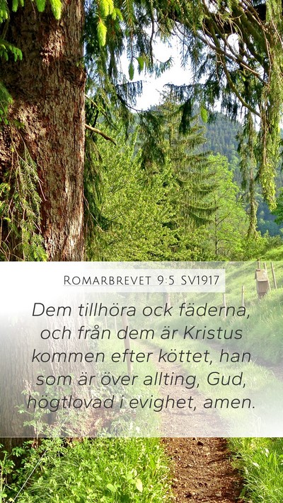Romarbrevet 9:5 SV1917 Bible Verse Image